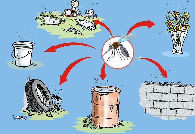 Bài tuyên truyền phòng chống dịch, bệnh sốt xuất huyết năm 2025- Ảnh 10.